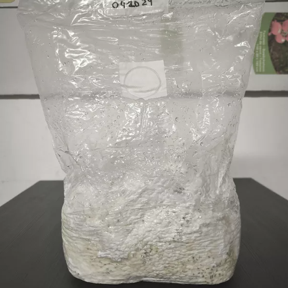 Capture d’écran 2025-11-12 170205