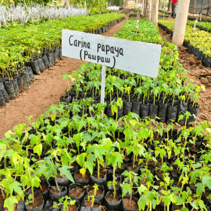 Capture d’écran 2026-01-29 153931 (1)